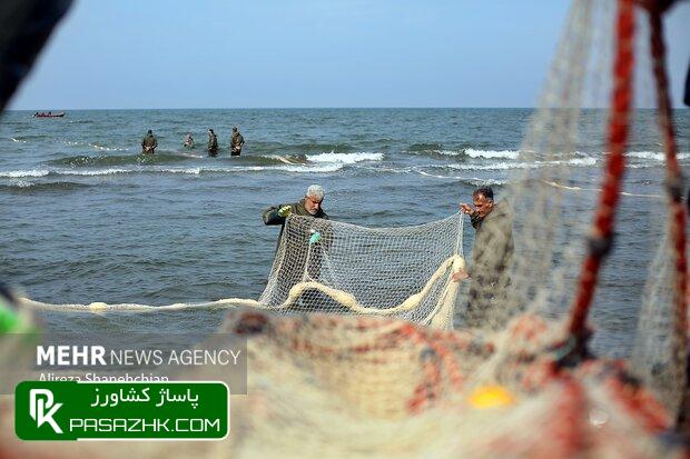 میزان برداشت از دریا بر اساس توصیه کارشناسان باشد 1 d985db8cd8b2d8a7d986 d8a8d8b1d8afd8a7d8b4d8aa d8a7d8b2 d8afd8b1db8cd8a7 d8a8d8b1 d8a7d8b3d8a7d8b3 d8aad988d8b5db8cd987 daa9d8a7d8b1d8b4 6684fdf33deec, میزان برداشت از دریا بر اساس توصیه کارشناسان باشد, پاساژ کشاورز | بازار بزرگ کشاورزی در ایران, اخبار پاساژ کشاورز, ,