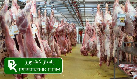 نظارت گسترده بهداشتی و شرعی بر دامهای قربانی تاسوعا و عاشورا 9 d986d8b8d8a7d8b1d8aa daafd8b3d8aad8b1d8afd987 d8a8d987d8afd8a7d8b4d8aadb8c d988 d8b4d8b1d8b9db8c d8a8d8b1 d8afd8a7d985d987d8a7 668e764f9895c, نظارت گسترده بهداشتی و شرعی بر دامهای قربانی تاسوعا و عاشورا, پاساژ کشاورز | بازار بزرگ کشاورزی در ایران, اخبار پاساژ کشاورز, ,