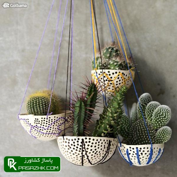 از گوش پاک‌کن برای مقابله با شپشک‌های آردآلود استفاده کنید, پشه قارچی (Fungus Gnats), نگهداری کاکتوس: ۸ نکته نگهداری از کاکتوس برای تازه کارها + عکس, نکات نگهداری کاکتوس‌ها برای تازه‌کارها!, نکات نگهداری کاکتوس: ۱٫ ترکیب خاک گلدان, پاساژ کشاورز, بازار بزرگ کشاورزی, سایت نیازمندی کشاورزی, نقش خاک در نگهداری کاکتوس‌های گرمسیری, خاک کاکتوس خشک, آموزش نکات مهم در روش نگهداری کاکتوس از جمله روش آبیاری, صفر تا صد شرایط نگهداری از کاکتوس, شرایط لازم نگهداری از کاکتوس در خانه + تعویض گلدان کاکتوس, روش نگهداری کاکتوس و تکثیر آن در خانه, درج آگهی رایگان, دیوار, مقالات کشاورزی