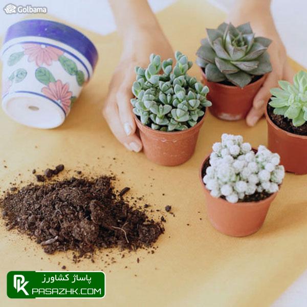 اضافه کردن خاک به گلدان