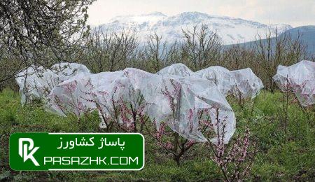 کمترین تورم نقطهبهنقطه با ۱۱.۲ درصد برای زراعت ثبت شد 9 daa9d985d8aad8b1db8cd986 d8aad988d8b1d985 d986d982d8b7d987d8a8d987d986d982d8b7d987 d8a8d8a7 dbb1dbb1 dbb2 d8afd8b1d8b5d8af 668a81d242340, کمترین تورم نقطهبهنقطه با ۱۱.۲ درصد برای زراعت ثبت شد, پاساژ کشاورز | بازار بزرگ کشاورزی در ایران, اخبار پاساژ کشاورز, ,