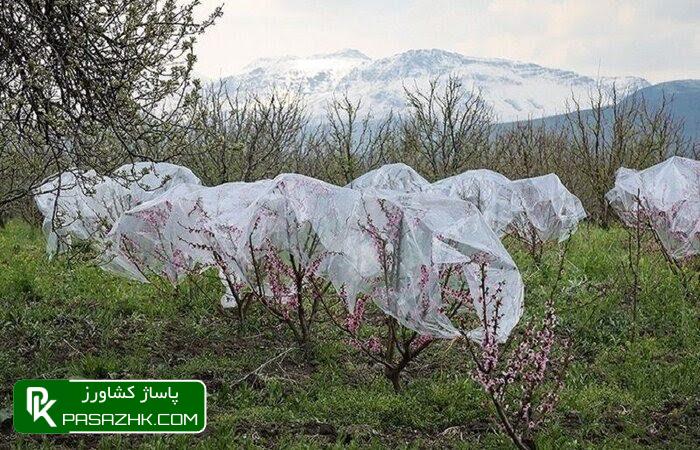 کمترین تورم نقطهبهنقطه با ۱۱.۲ درصد برای زراعت ثبت شد 1 daa9d985d8aad8b1db8cd986 d8aad988d8b1d985 d986d982d8b7d987d8a8d987d986d982d8b7d987 d8a8d8a7 dbb1dbb1 dbb2 d8afd8b1d8b5d8af 668a81d242340, کمترین تورم نقطهبهنقطه با ۱۱.۲ درصد برای زراعت ثبت شد, پاساژ کشاورز | بازار بزرگ کشاورزی در ایران, اخبار پاساژ کشاورز, ,