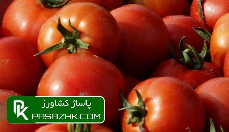 daafd988d8acd987d981d8b1d986daafdb8c d8a2d8a8d8a7d986 d988 d8a2d8b0d8b1 daafd8b1d8a7d986 d986d985db8cd8b4d988d8af 66979b718b695, گوجه‌فرنگی آبان و آذر گران نمی‌شود, پاساژ کشاورز | بازار بزرگ کشاورزی در ایران, اخبار پاساژ کشاورز, ,