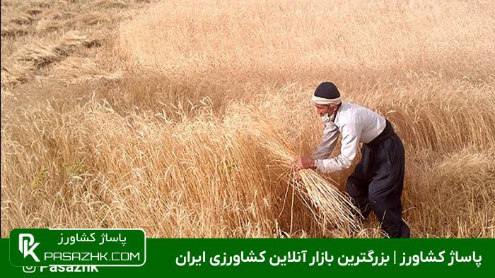 توسعه پایدار روستایی و ترویج کشاورزی