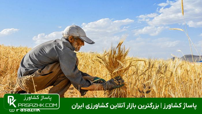 عوامل تاثیرگذار بر توسعه پایدار روستایی و ترویج کشاورزی