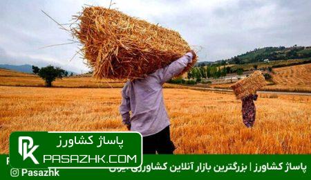 عوامل تاثیرگذار بر توسعه پایدار روستایی و ترویج کشاورزی