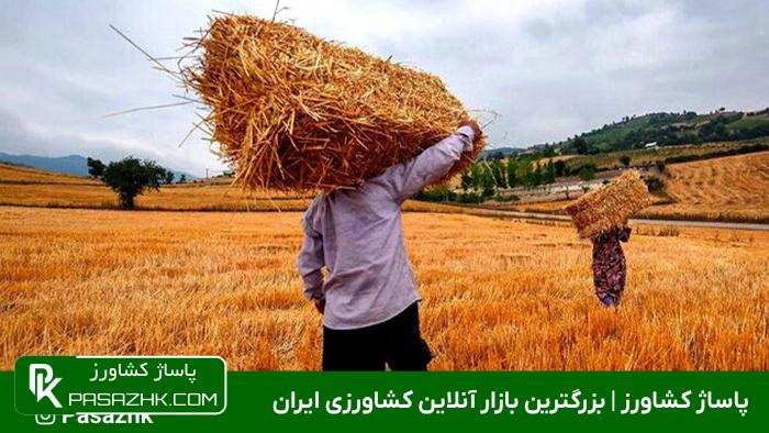 عوامل تاثیرگذار بر توسعه پایدار روستایی و ترویج کشاورزی
