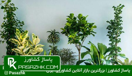 ‌آشنایی با انواع گل و گیاه