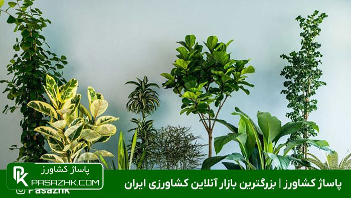 ‌آشنایی با انواع گل و گیاه