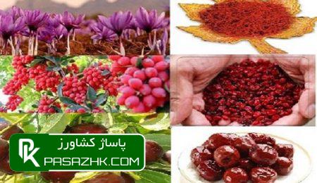 بیرجند- سه محصول کشاورزی زرشک، زعفران و عناب محصولات مزیت خراسان جنوبی هستند که بیشترین اشتغال بخش کشاورزی استان به این سه محصول اختصاص دارد. نمایشگاه از ایده تا تولید/ نمایش محصولات مزیت دار خراسان جنوبی, پاساژ کشاورز, اخبار کشاورزی, خبرگزاری مهر