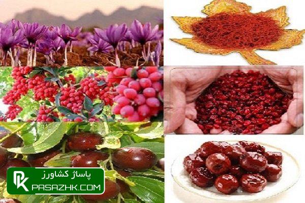 نمایشگاه از ایده تا تولید/ نمایش محصولات مزیت دار خراسان جنوبی, پاساژ کشاورز, اخبار کشاورزی, خبرگزاری مهر