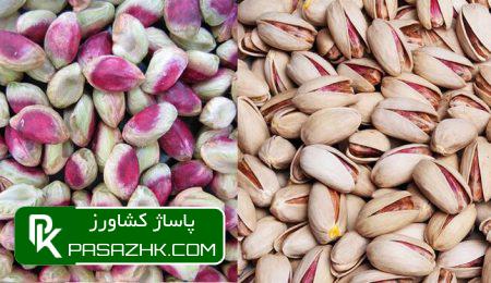 d8aed8b3d8a7d8b1d8aa d8b3d985d991db8c daa9d987 d8b5d8a7d8afd8b1d8a7d8aa d9bed8b3d8aad987 d8b1d981d8b3d986d8acd8a7d986 d8b1d8a7 d8aad987 67473f95a7ff6, خسارت سمّی که صادرات پسته رفسنجان را تهدید می‌کند, پاساژ کشاورز | بازار بزرگ کشاورزی در ایران, اخبار پاساژ کشاورز, ,