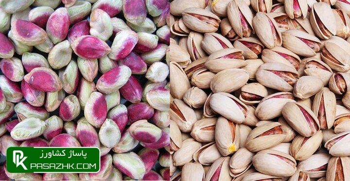 d8aed8b3d8a7d8b1d8aa d8b3d985d991db8c daa9d987 d8b5d8a7d8afd8b1d8a7d8aa d9bed8b3d8aad987 d8b1d981d8b3d986d8acd8a7d986 d8b1d8a7 d8aad987 67473f95a7ff6, خسارت سمّی که صادرات پسته رفسنجان را تهدید می‌کند, پاساژ کشاورز | بازار بزرگ کشاورزی در ایران, اخبار پاساژ کشاورز, ,