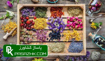 20 گیاه دارویی که میتوانید در خانه پرورش دهید 3 1545473042 P9rV2, 20 گیاه دارویی که میتوانید در خانه پرورش دهید, پاساژ کشاورز | بازار بزرگ کشاورزی در ایران, مقالات, راهکارهای هوشمندانه برای افزایش درآمد کشاورزان,