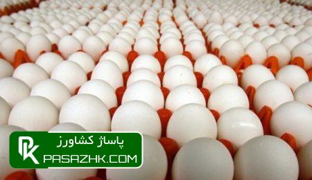 امروز هر کیلو گرم تخممرغ حداکثر ۵۶ هزار تومان خریدوفروش میشود 6 d8a7d985d8b1d988d8b2 d987d8b1 daa9db8cd984d988 daafd8b1d985 d8aad8aed985d985d8b1d8ba d8add8afd8a7daa9d8abd8b1 dbb5dbb6 d987d8b2 676e4d5d66b7c, امروز هر کیلو گرم تخممرغ حداکثر ۵۶ هزار تومان خریدوفروش میشود, پاساژ کشاورز | بازار بزرگ کشاورزی در ایران, اخبار پاساژ کشاورز, ,