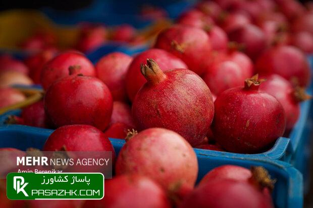 ایران رتبه سوم تولید «انار» در جهان 1 d8a7db8cd8b1d8a7d986 d8b1d8aad8a8d987 d8b3d988d985 d8aad988d984db8cd8af d8a7d986d8a7d8b1 d8afd8b1 d8acd987d8a7d986 6765078734abd, ایران رتبه سوم تولید «انار» در جهان, پاساژ کشاورز | بازار بزرگ کشاورزی در ایران, اخبار پاساژ کشاورز, ,