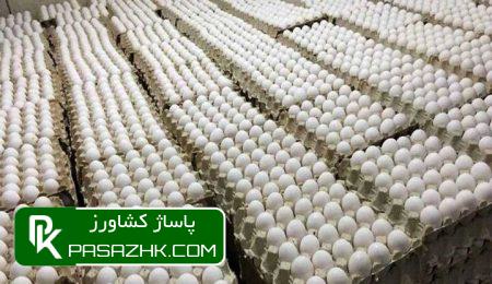 بازار تخممرغ در ۳ سال گذشته ثبات داشت 7 d8a8d8a7d8b2d8a7d8b1 d8aad8aed985d985d8b1d8ba d8afd8b1 dbb3 d8b3d8a7d984 daafd8b0d8b4d8aad987 d8abd8a8d8a7d8aa d8afd8a7d8b4d8aa 675ee3297ab69, بازار تخممرغ در ۳ سال گذشته ثبات داشت, پاساژ کشاورز | بازار بزرگ کشاورزی در ایران, اخبار پاساژ کشاورز, ,