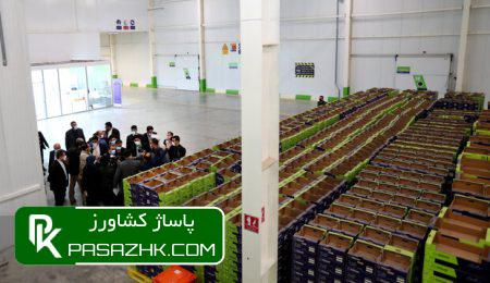 تعاملی برد-برد بین جامعه تولیدکنندگان و مصرفکنندگان باید برقرار باشد 5 d8aad8b9d8a7d985d984db8c d8a8d8b1d8af d8a8d8b1d8af d8a8db8cd986 d8acd8a7d985d8b9d987 d8aad988d984db8cd8afdaa9d986d986d8afdaafd8a7d986 676a9b6018af7, تعاملی برد-برد بین جامعه تولیدکنندگان و مصرفکنندگان باید برقرار باشد, پاساژ کشاورز | بازار بزرگ کشاورزی در ایران, اخبار پاساژ کشاورز, ,