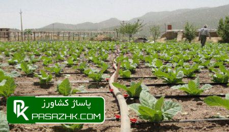 حمایت ما از جیب مصرفکننده و در ازای سرکوب بهرهوری است 9 d8add985d8a7db8cd8aa d985d8a7 d8a7d8b2 d8acdb8cd8a8 d985d8b5d8b1d981daa9d986d986d8afd987 d988 d8afd8b1 d8a7d8b2d8a7db8c d8b3d8b1 67634f2511966, حمایت ما از جیب مصرفکننده و در ازای سرکوب بهرهوری است, پاساژ کشاورز | بازار بزرگ کشاورزی در ایران, اخبار پاساژ کشاورز, ,