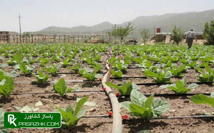 حمایت ما از جیب مصرفکننده و در ازای سرکوب بهرهوری است 1 d8add985d8a7db8cd8aa d985d8a7 d8a7d8b2 d8acdb8cd8a8 d985d8b5d8b1d981daa9d986d986d8afd987 d988 d8afd8b1 d8a7d8b2d8a7db8c d8b3d8b1 67634f2511966, حمایت ما از جیب مصرفکننده و در ازای سرکوب بهرهوری است, پاساژ کشاورز | بازار بزرگ کشاورزی در ایران, اخبار پاساژ کشاورز, ,