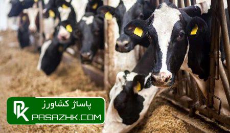 رتبهبندی ۶۱ درصد از کارخانجات تولید خوراک دام، طیور و آبزیان 6 d8b1d8aad8a8d987d8a8d986d8afdb8c dbb6dbb1 d8afd8b1d8b5d8af d8a7d8b2 daa9d8a7d8b1d8aed8a7d986d8acd8a7d8aa d8aad988d984db8cd8af 67634f3a95bce, رتبهبندی ۶۱ درصد از کارخانجات تولید خوراک دام، طیور و آبزیان, پاساژ کشاورز | بازار بزرگ کشاورزی در ایران, اخبار پاساژ کشاورز, ,