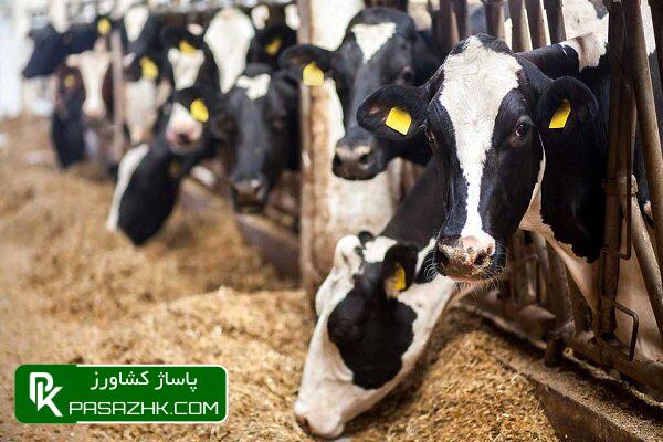 d8b1d8aad8a8d987d8a8d986d8afdb8c dbb6dbb1 d8afd8b1d8b5d8af d8a7d8b2 daa9d8a7d8b1d8aed8a7d986d8acd8a7d8aa d8aad988d984db8cd8af 67634f3a95bce, رتبه‌بندی ۶۱ درصد از کارخانجات تولید خوراک دام، طیور و آبزیان, پاساژ کشاورز | بازار بزرگ کشاورزی در ایران, اخبار پاساژ کشاورز, ,