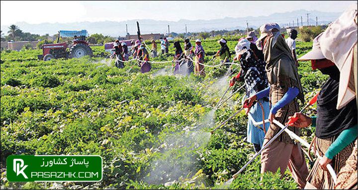 رشد شرکتهای صوری با سهمیهبندی ثبت سفارش مواد اولیه خارجی سم و کود 1 d8b1d8b4d8af d8b4d8b1daa9d8aad987d8a7db8c d8b5d988d8b1db8c d8a8d8a7 d8b3d987d985db8cd987d8a8d986d8afdb8c d8abd8a8d8aa d8b3 676c2683f18ba, رشد شرکتهای صوری با سهمیهبندی ثبت سفارش مواد اولیه خارجی سم و کود, پاساژ کشاورز | بازار بزرگ کشاورزی در ایران, اخبار پاساژ کشاورز, ,