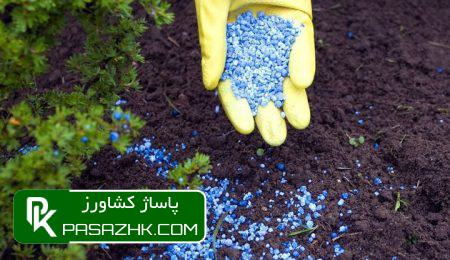 «سلامت و تولید» رو در روی هم 7 d8b3d984d8a7d985d8aa d988 d8aad988d984db8cd8af d8b1d988 d8afd8b1 d8b1d988db8c d987d985 6766fc011ad76, «سلامت و تولید» رو در روی هم, پاساژ کشاورز | بازار بزرگ کشاورزی در ایران, اخبار پاساژ کشاورز, ,