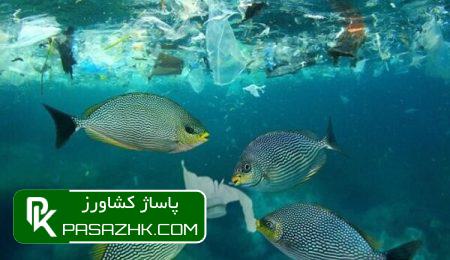 طرح جامع توسعه دریامحور دی ماه به مجمع تشخیص مصلحت میرود 10 d8b7d8b1d8ad d8acd8a7d985d8b9 d8aad988d8b3d8b9d987 d8afd8b1db8cd8a7d985d8add988d8b1 d8afdb8c d985d8a7d987 d8a8d987 d985d8acd985d8b9 d8aa 6750bbbb1da97, طرح جامع توسعه دریامحور دی ماه به مجمع تشخیص مصلحت میرود, پاساژ کشاورز | بازار بزرگ کشاورزی در ایران, اخبار پاساژ کشاورز, ,
