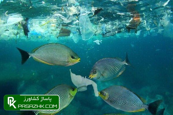 طرح جامع توسعه دریامحور دی ماه به مجمع تشخیص مصلحت میرود 1 d8b7d8b1d8ad d8acd8a7d985d8b9 d8aad988d8b3d8b9d987 d8afd8b1db8cd8a7d985d8add988d8b1 d8afdb8c d985d8a7d987 d8a8d987 d985d8acd985d8b9 d8aa 6750bbbb1da97, طرح جامع توسعه دریامحور دی ماه به مجمع تشخیص مصلحت میرود, پاساژ کشاورز | بازار بزرگ کشاورزی در ایران, اخبار پاساژ کشاورز, ,