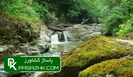 طرح مدیریت پایدار جنگل، تفکر اکوسیستمی است 8 d8b7d8b1d8ad d985d8afdb8cd8b1db8cd8aa d9bed8a7db8cd8afd8a7d8b1 d8acd986daafd984d88c d8aad981daa9d8b1 d8a7daa9d988d8b3db8cd8b3d8aad985 6770ad618e489, طرح مدیریت پایدار جنگل، تفکر اکوسیستمی است, پاساژ کشاورز | بازار بزرگ کشاورزی در ایران, اخبار پاساژ کشاورز, ,