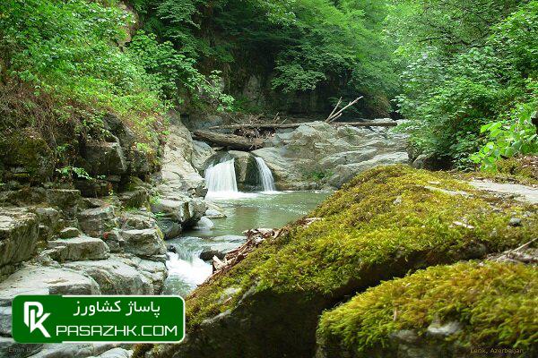 طرح مدیریت پایدار جنگل، تفکر اکوسیستمی است 1 d8b7d8b1d8ad d985d8afdb8cd8b1db8cd8aa d9bed8a7db8cd8afd8a7d8b1 d8acd986daafd984d88c d8aad981daa9d8b1 d8a7daa9d988d8b3db8cd8b3d8aad985 6770ad618e489, طرح مدیریت پایدار جنگل، تفکر اکوسیستمی است, پاساژ کشاورز | بازار بزرگ کشاورزی در ایران, اخبار پاساژ کشاورز, ,