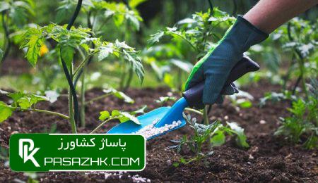 d8b9d8afd985 d8aad8aed8b5db8cd8b5 d8a7d8b1d8b2 d8a8d987 d8aad988d984db8cd8afdaa9d986d986d8afdaafd8a7d986 daa9d988d8af d8b4db8cd985db8c 676c2671b6be4, عدم تخصیص ارز به تولیدکنندگان کود شیمیایی از ۲۱ ماه گذشت, پاساژ کشاورز | بازار بزرگ کشاورزی در ایران, اخبار پاساژ کشاورز, ,