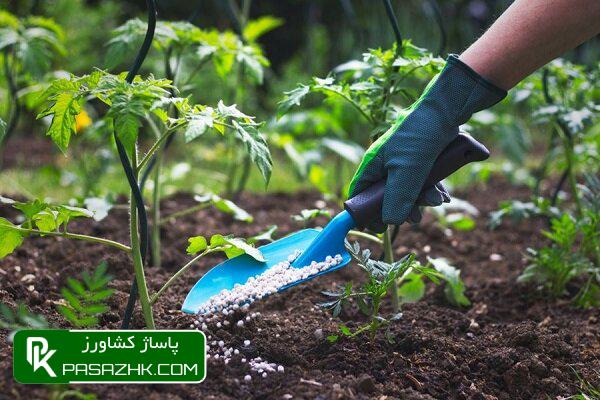 عدم تخصیص ارز به تولیدکنندگان کود شیمیایی از ۲۱ ماه گذشت 1 d8b9d8afd985 d8aad8aed8b5db8cd8b5 d8a7d8b1d8b2 d8a8d987 d8aad988d984db8cd8afdaa9d986d986d8afdaafd8a7d986 daa9d988d8af d8b4db8cd985db8c 676c2671b6be4, عدم تخصیص ارز به تولیدکنندگان کود شیمیایی از ۲۱ ماه گذشت, پاساژ کشاورز | بازار بزرگ کشاورزی در ایران, اخبار پاساژ کشاورز, ,