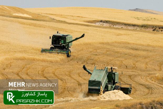 عملکرد کمی حرف اول را در کشت گندم ایران میزند 1 d8b9d985d984daa9d8b1d8af daa9d985db8c d8add8b1d981 d8a7d988d984 d8b1d8a7 d8afd8b1 daa9d8b4d8aa daafd986d8afd985 d8a7db8cd8b1d8a7d986 67528dd8afa65, عملکرد کمی حرف اول را در کشت گندم ایران میزند, پاساژ کشاورز | بازار بزرگ کشاورزی در ایران, اخبار پاساژ کشاورز, ,