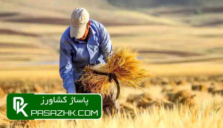 فروش گندم یارانهای صرفاً برای مصارف خبازی مجاز شد 4 d981d8b1d988d8b4 daafd986d8afd985 db8cd8a7d8b1d8a7d986d987d8a7db8c d8b5d8b1d981d8a7d98b d8a8d8b1d8a7db8c d985d8b5d8a7d8b1d981 6757555dc7c77, فروش گندم یارانهای صرفاً برای مصارف خبازی مجاز شد, پاساژ کشاورز | بازار بزرگ کشاورزی در ایران, اخبار پاساژ کشاورز, ,