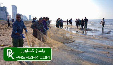 ممنوعیت صید تجاری ماهیان خاویاری دریای خزر تمدید شد 4 d985d985d986d988d8b9db8cd8aa d8b5db8cd8af d8aad8acd8a7d8b1db8c d985d8a7d987db8cd8a7d986 d8aed8a7d988db8cd8a7d8b1db8c d8afd8b1db8cd8a7 67723115391c5, ممنوعیت صید تجاری ماهیان خاویاری دریای خزر تمدید شد, پاساژ کشاورز | بازار بزرگ کشاورزی در ایران, اخبار پاساژ کشاورز, ,