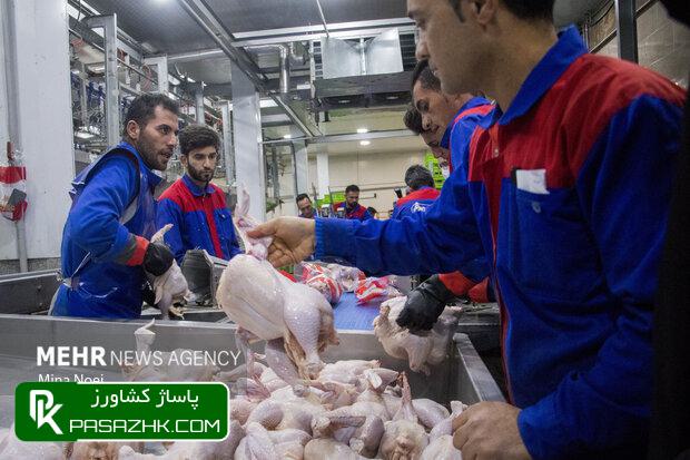 نرخ جدید مرغ اعلام شد 1 d986d8b1d8ae d8acd8afdb8cd8af d985d8b1d8ba d8a7d8b9d984d8a7d985 d8b4d8af 67575548f403a, نرخ جدید مرغ اعلام شد, پاساژ کشاورز | بازار بزرگ کشاورزی در ایران, اخبار پاساژ کشاورز, ,