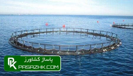 d986d8b5d8a8 d986d8aed8b3d8aadb8cd986 d982d981d8b3 d9bed8a7db8cd987 daa9d8b4d8b4db8c d8afd8b1 d8b3d988d8a7d8add984 d985daa9d8b1d8a7d986 6770ad4083e6b, نصب نخستین قفس پایه کششی در سواحل مکران تا ۲۰ روز آینده, پاساژ کشاورز | بازار بزرگ کشاورزی در ایران, اخبار پاساژ کشاورز, ,