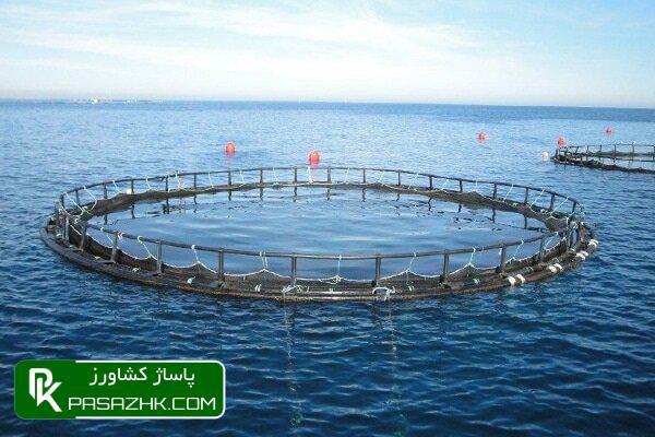 d986d8b5d8a8 d986d8aed8b3d8aadb8cd986 d982d981d8b3 d9bed8a7db8cd987 daa9d8b4d8b4db8c d8afd8b1 d8b3d988d8a7d8add984 d985daa9d8b1d8a7d986 6770ad4083e6b, نصب نخستین قفس پایه کششی در سواحل مکران تا ۲۰ روز آینده, پاساژ کشاورز | بازار بزرگ کشاورزی در ایران, اخبار پاساژ کشاورز, ,