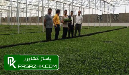 نظام صنفی دغدغه مدیریتی کسب وکارها را کاهش میدهد 2 d986d8b8d8a7d985 d8b5d986d981db8c d8afd8bad8afd8bad987 d985d8afdb8cd8b1db8cd8aadb8c daa9d8b3d8a8 d988daa9d8a7d8b1d987d8a7 d8b1d8a7 daa9 6756114b8bb54, نظام صنفی دغدغه مدیریتی کسب وکارها را کاهش میدهد, پاساژ کشاورز | بازار بزرگ کشاورزی در ایران, اخبار پاساژ کشاورز, ,