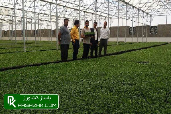 نظام صنفی دغدغه مدیریتی کسب وکارها را کاهش میدهد 1 d986d8b8d8a7d985 d8b5d986d981db8c d8afd8bad8afd8bad987 d985d8afdb8cd8b1db8cd8aadb8c daa9d8b3d8a8 d988daa9d8a7d8b1d987d8a7 d8b1d8a7 daa9 6756114b8bb54, نظام صنفی دغدغه مدیریتی کسب وکارها را کاهش میدهد, پاساژ کشاورز | بازار بزرگ کشاورزی در ایران, اخبار پاساژ کشاورز, ,