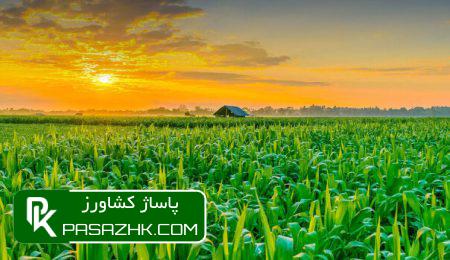 هزینه آب کشاورزی چاههای مجاز دارای کنتور مشخص شد 11 d987d8b2db8cd986d987 d8a2d8a8 daa9d8b4d8a7d988d8b1d8b2db8c da86d8a7d987d987d8a7db8c d985d8acd8a7d8b2 d8afd8a7d8b1d8a7db8c daa9 67561160bde47, هزینه آب کشاورزی چاههای مجاز دارای کنتور مشخص شد, پاساژ کشاورز | بازار بزرگ کشاورزی در ایران, اخبار پاساژ کشاورز, ,