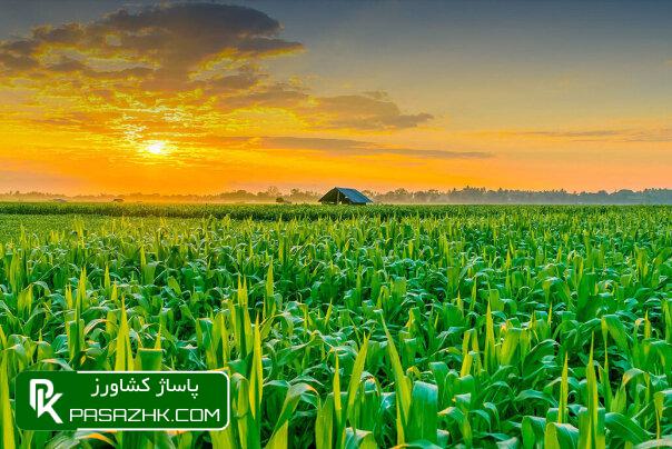 هزینه آب کشاورزی چاههای مجاز دارای کنتور مشخص شد 1 d987d8b2db8cd986d987 d8a2d8a8 daa9d8b4d8a7d988d8b1d8b2db8c da86d8a7d987d987d8a7db8c d985d8acd8a7d8b2 d8afd8a7d8b1d8a7db8c daa9 67561160bde47, هزینه آب کشاورزی چاههای مجاز دارای کنتور مشخص شد, پاساژ کشاورز | بازار بزرگ کشاورزی در ایران, اخبار پاساژ کشاورز, ,