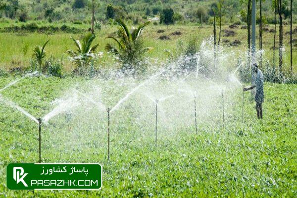 چگونه میتوان کشاورزی را سودآور کرد؟ 1 da86daafd988d986d987 d985db8cd8aad988d8a7d986 daa9d8b4d8a7d988d8b1d8b2db8c d8b1d8a7 d8b3d988d8afd8a2d988d8b1 daa9d8b1d8afd89f 6772312a7771a, چگونه میتوان کشاورزی را سودآور کرد؟, پاساژ کشاورز | بازار بزرگ کشاورزی در ایران, اخبار پاساژ کشاورز, ,