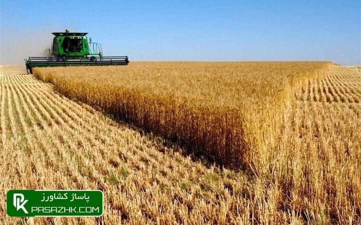 کشت گندم به بیش از ۶ میلیون هکتار رسید 1 daa9d8b4d8aa daafd986d8afd985 d8a8d987 d8a8db8cd8b4 d8a7d8b2 dbb6 d985db8cd984db8cd988d986 d987daa9d8aad8a7d8b1 d8b1d8b3db8cd8af 6770ad510895c, کشت گندم به بیش از ۶ میلیون هکتار رسید, پاساژ کشاورز | بازار بزرگ کشاورزی در ایران, اخبار پاساژ کشاورز, ,