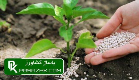 ۳۰ درصد اعتبارات کود شیمیایی باید صرف تولید مواد آلی زیستی شود 3 dbb3dbb0 d8afd8b1d8b5d8af d8a7d8b9d8aad8a8d8a7d8b1d8a7d8aa daa9d988d8af d8b4db8cd985db8cd8a7db8cdb8c d8a8d8a7db8cd8af d8b5d8b1d981 d8aa 676c267c90f0a, ۳۰ درصد اعتبارات کود شیمیایی باید صرف تولید مواد آلی زیستی شود, پاساژ کشاورز | بازار بزرگ کشاورزی در ایران, اخبار پاساژ کشاورز, ,