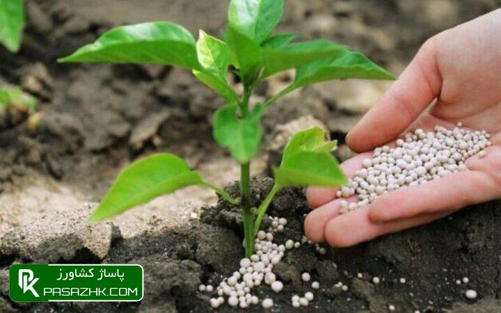 ۳۰ درصد اعتبارات کود شیمیایی باید صرف تولید مواد آلی زیستی شود 1 dbb3dbb0 d8afd8b1d8b5d8af d8a7d8b9d8aad8a8d8a7d8b1d8a7d8aa daa9d988d8af d8b4db8cd985db8cd8a7db8cdb8c d8a8d8a7db8cd8af d8b5d8b1d981 d8aa 676c267c90f0a, ۳۰ درصد اعتبارات کود شیمیایی باید صرف تولید مواد آلی زیستی شود, پاساژ کشاورز | بازار بزرگ کشاورزی در ایران, اخبار پاساژ کشاورز, ,