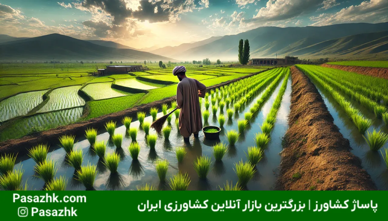 تأثیر فرهنگ محلی بر روش‌های کشاورزی در ایران