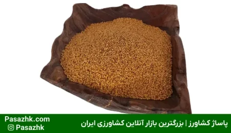 خرید بذر تک و عمده | راهنمای جامع برای کشاورزان, اهمیت بذر باکیفیت در کشاورزی, خرید بذر تک و عمده: کدام یک برای شما مناسب است؟, خرید بذر عمده, نکات مهم در خرید بذر, پاساژ کشاورز